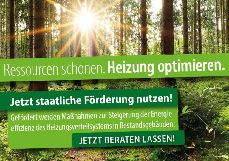 Aktionsfläche-4-6_Wald